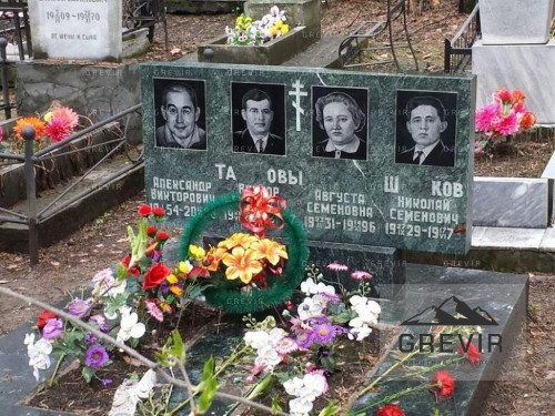 Образец из гранита змеевик 